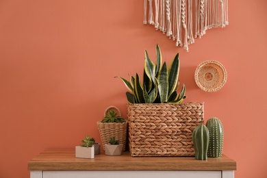 Photo of Houseplants in wicker pots on table near brown wall. Interior design