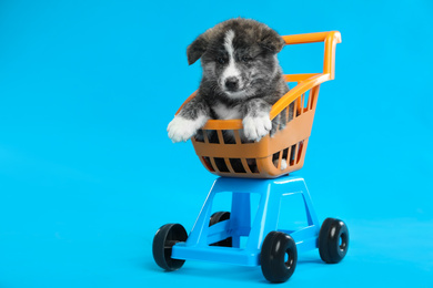 Photo of Cute Akita inu puppy in toy shopping cart on light blue background. Lovely dog