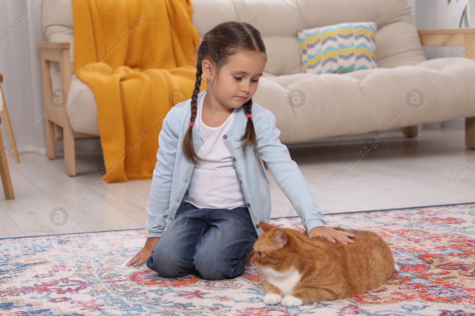 Photo of Little girl petting cute ginger cat on carpet at home