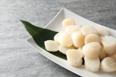 Photo of Fresh raw scallops on grey table, closeup