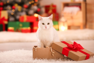 Photo of Cute white cat in Christmas gift box indoors. Adorable pet