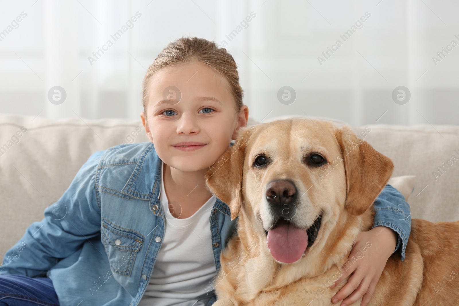 Photo of Cute child with her Labrador Retriever at home. Adorable pet