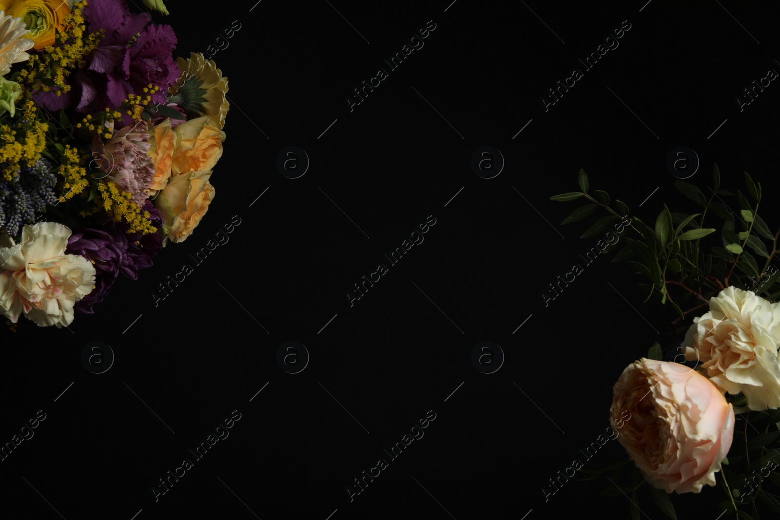 Photo of Beautiful fresh flowers on dark background, space for text