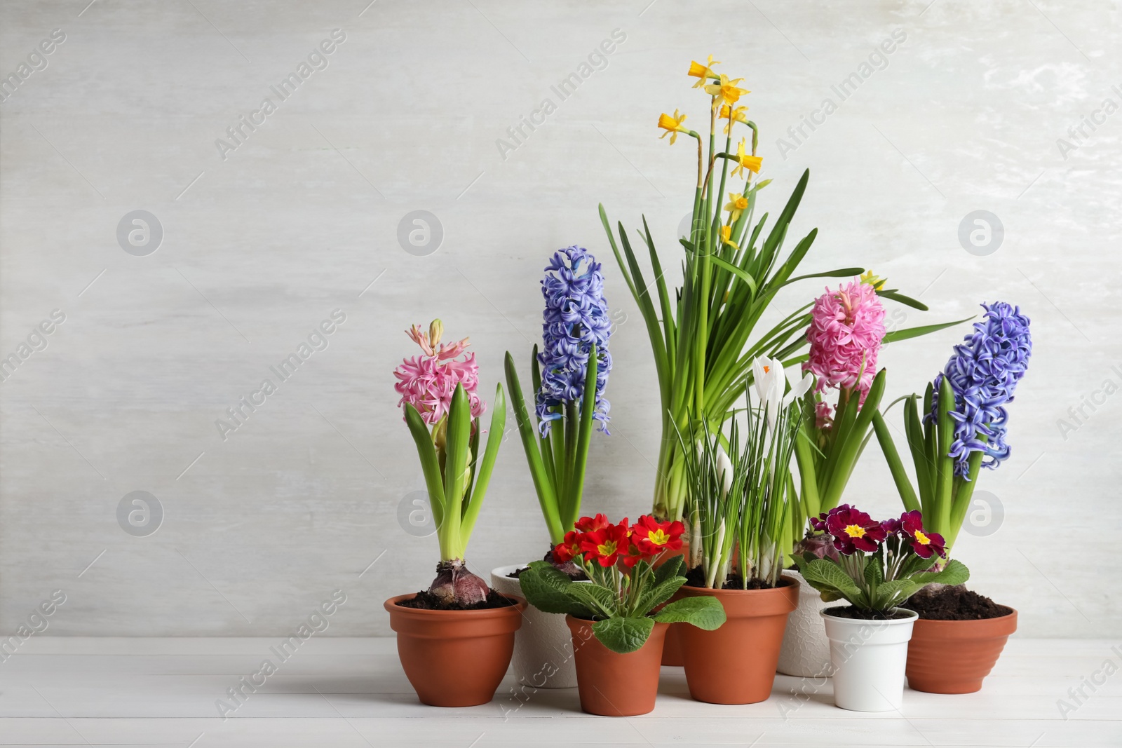 Photo of Different beautiful potted flowers on white wooden table