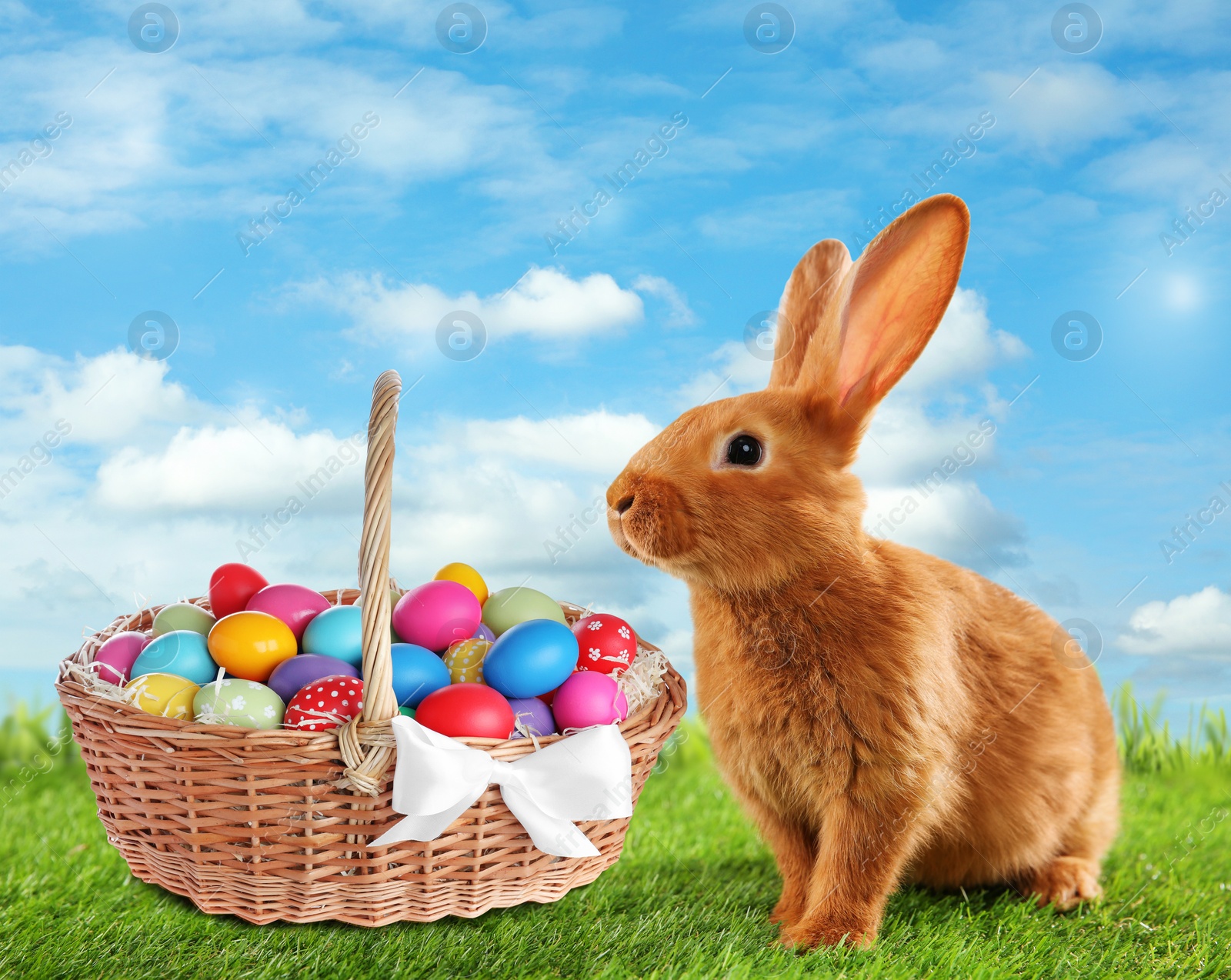 Image of Cute bunny and wicker basket with colorful Easter eggs on green grass outdoors