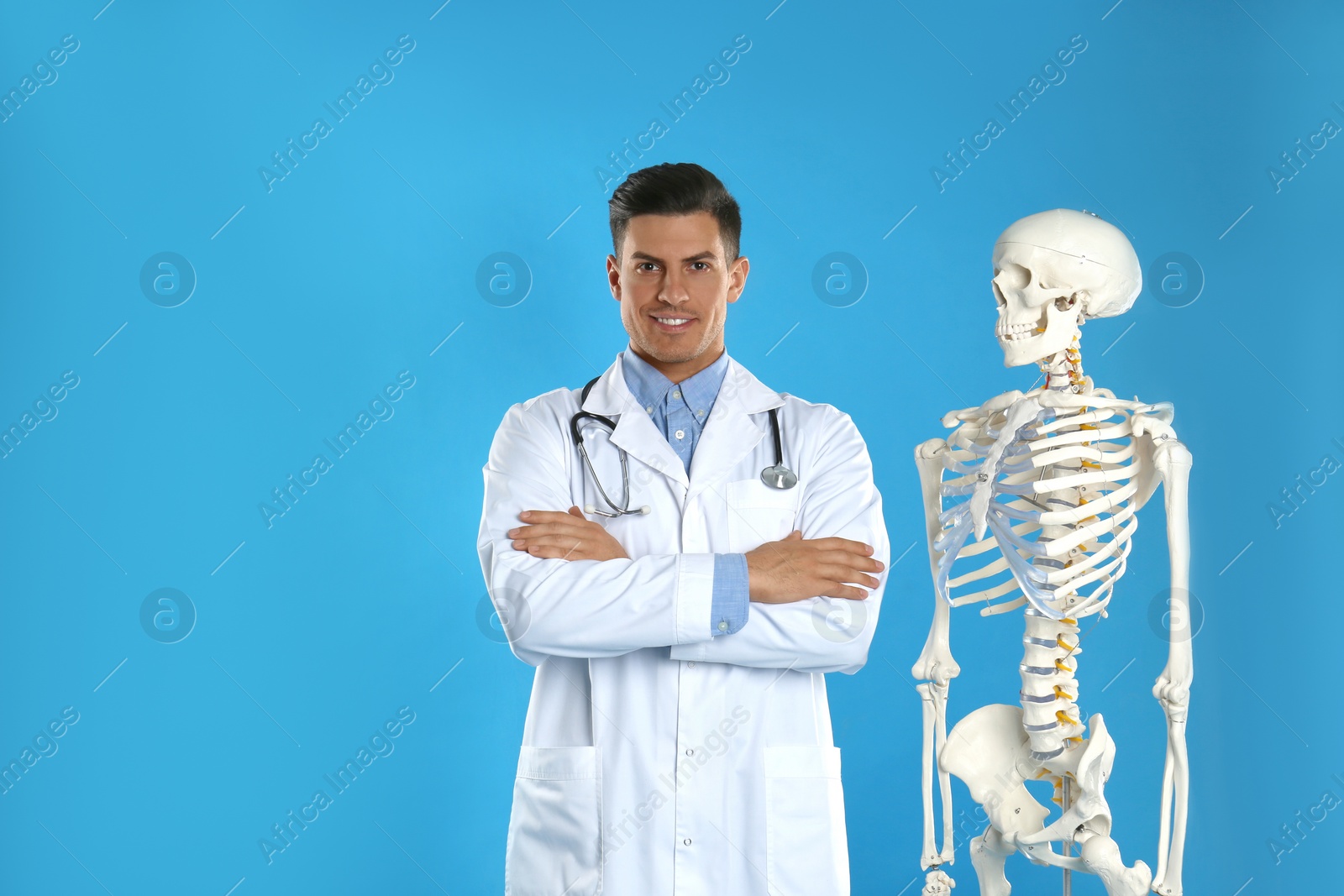 Photo of Male orthopedist with human skeleton model on blue background