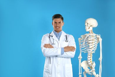 Male orthopedist with human skeleton model on blue background