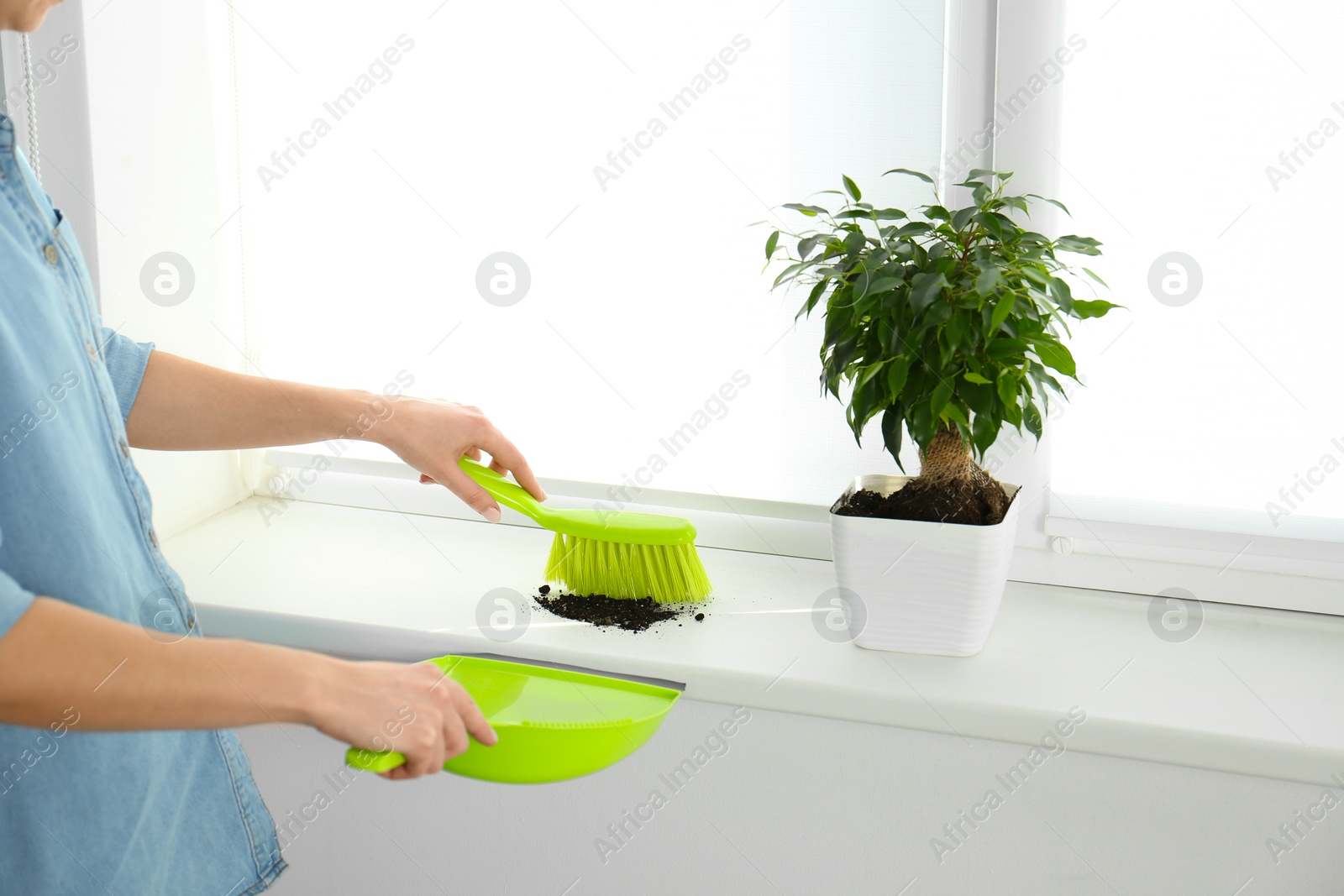 Photo of Woman sweeping away scattered soil from window sill with brush, closeup