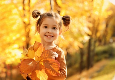 Photo of Cute little girl with leaves in sunny park. Autumn walk