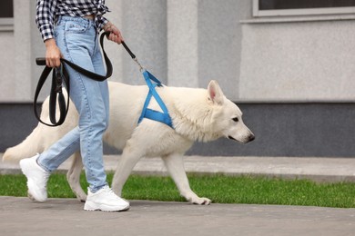 Photo of Young woman with her white Swiss Shepherd dog walking on city street, closeup