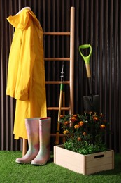 Photo of Beautiful blooming marigolds, gardening tools and accessories on green grass near wood slat wall