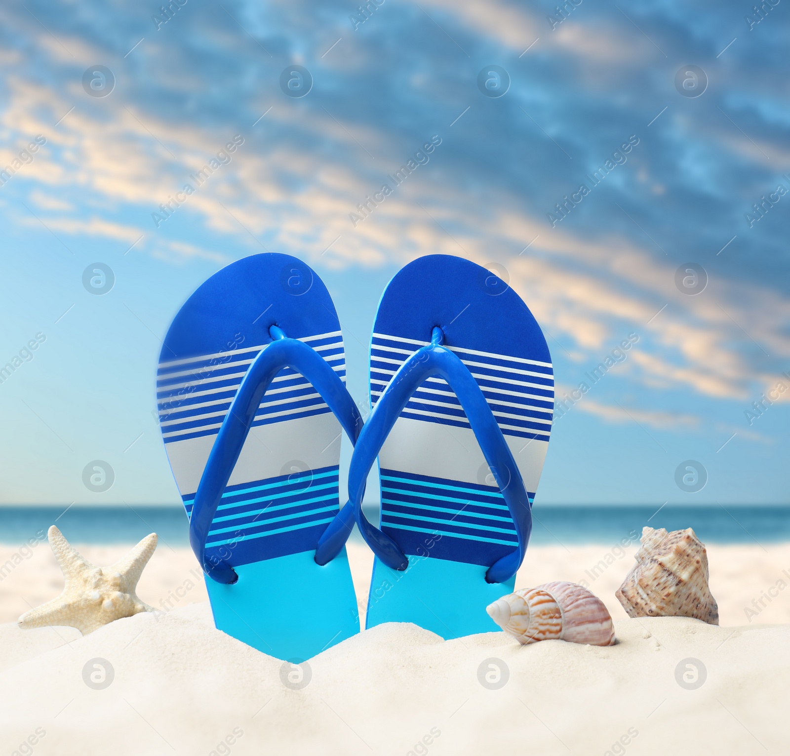 Image of Striped flip flops, starfish and sea shells on sandy beach 