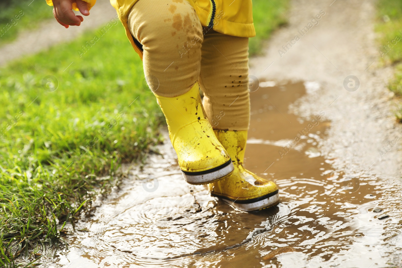 Photo of Little girl wearing rubber boots walking in puddle, closeup