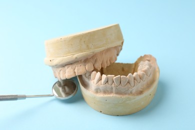 Photo of Dental model with gums and dentist mirror on light blue background. Cast of teeth