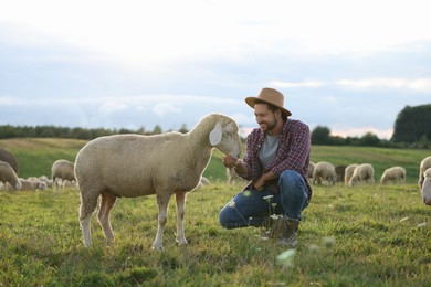 Photo of Smiling man with sheep on pasture at farm