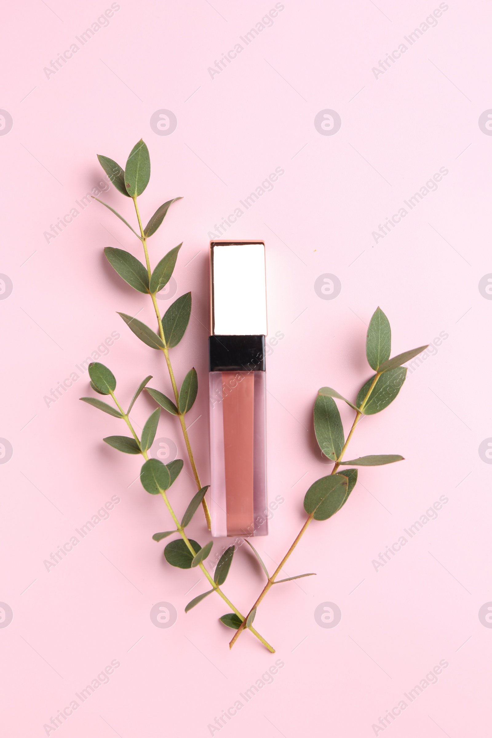 Photo of Bright lip gloss and green twigs on pink background, top view