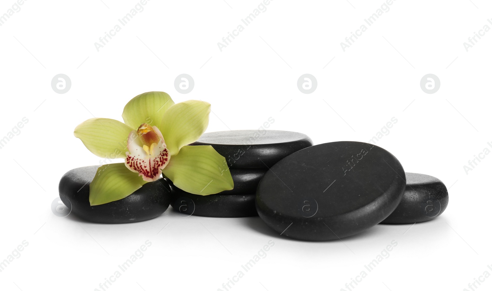 Photo of Spa stones with beautiful orchid flower on white background