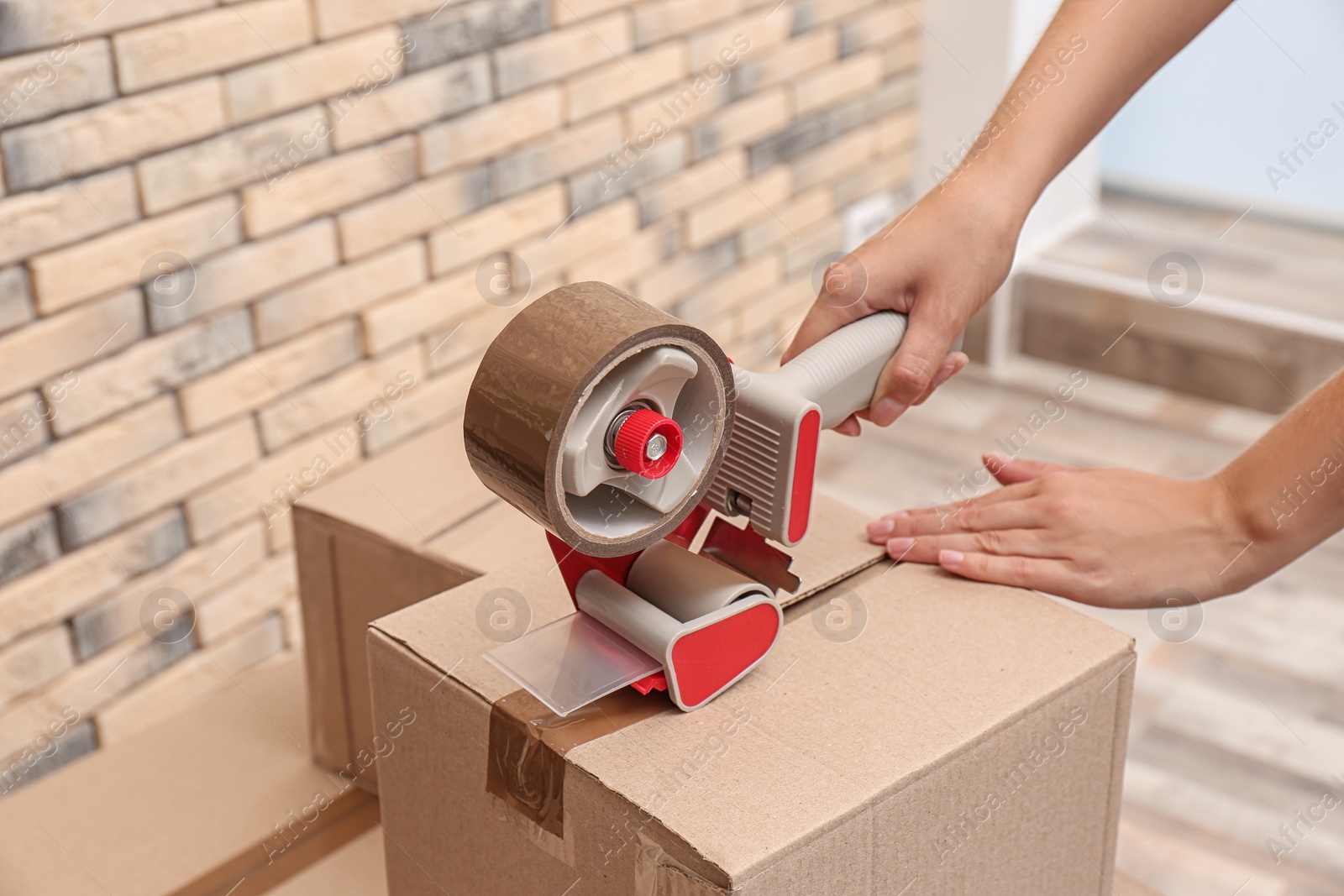 Photo of Woman packing carton box indoors, closeup. Moving day