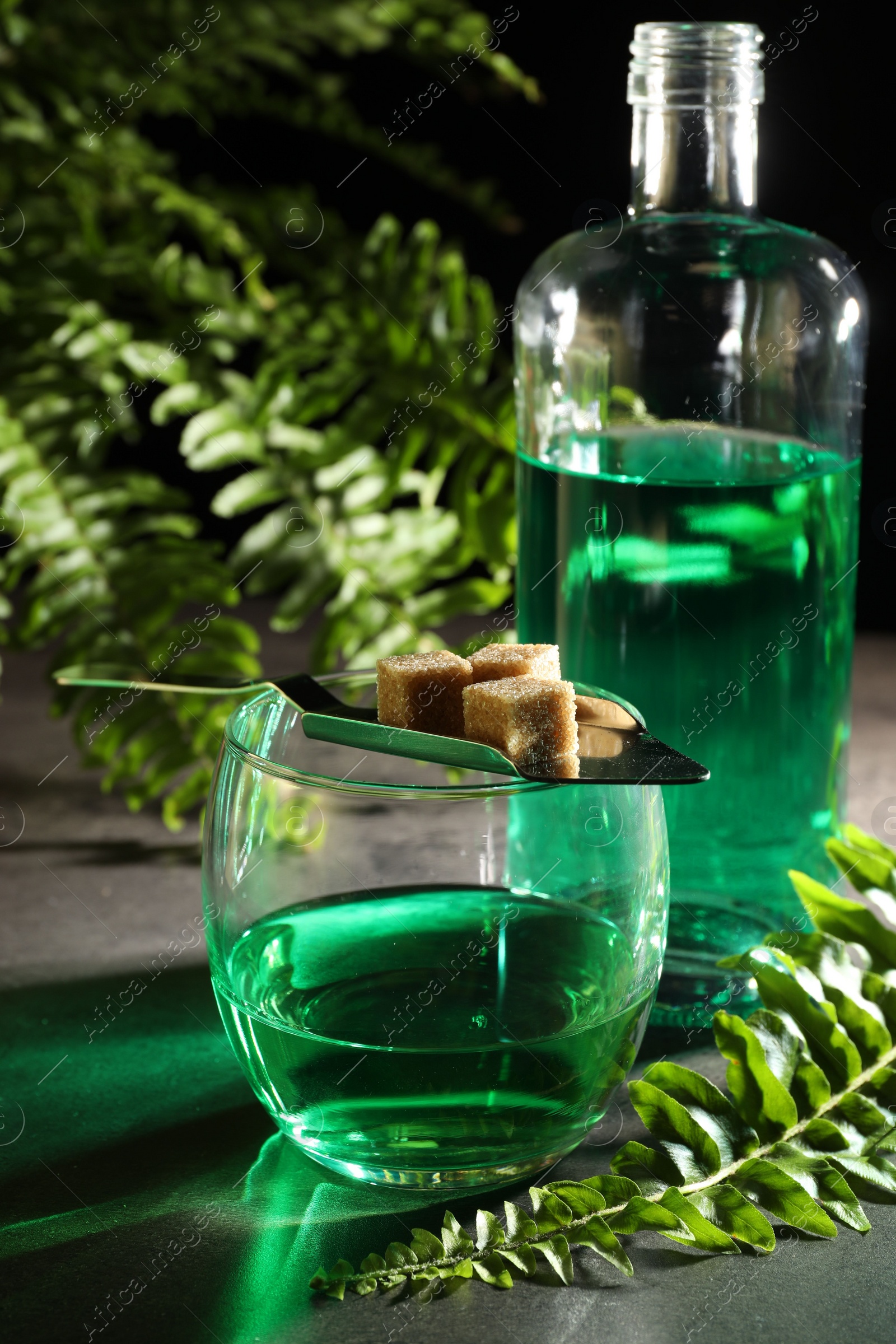 Photo of Absinthe in glass, spoon with brown sugar cubes and fern leaves on gray table, closeup. Alcoholic drink