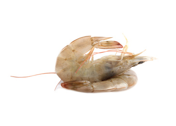 Photo of Fresh raw shrimps isolated on white. Healthy seafood