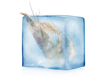 Image of Frozen food. Raw shrimp in ice cube isolated on white