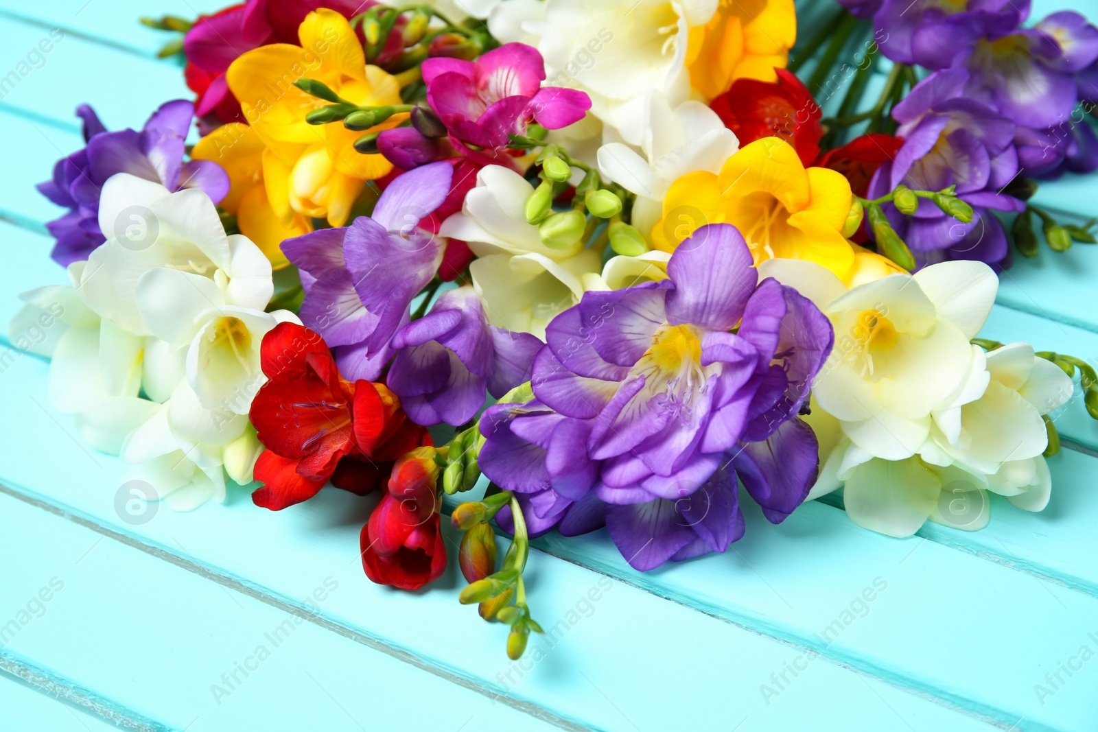 Photo of Beautiful freesia flowers on wooden background