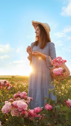 Woman with basket of roses in beautiful blooming field