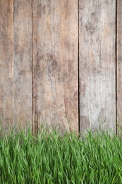 Photo of Fresh green grass near wooden fence. Space for text