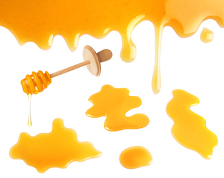 Set of organic delicious honey on white background