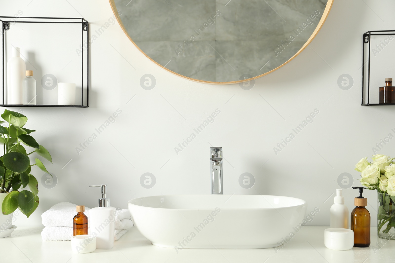 Photo of Beautiful roses, houseplant and bath accessories near sink in bathroom