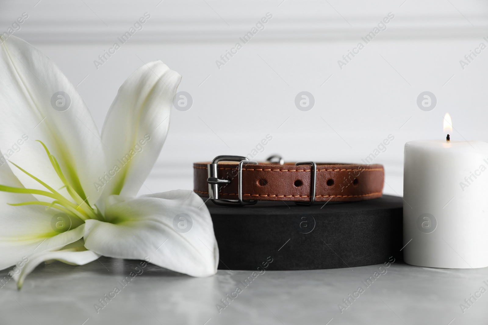 Photo of Collar, burning candle and lily flower on light grey table, closeup. Pet funeral