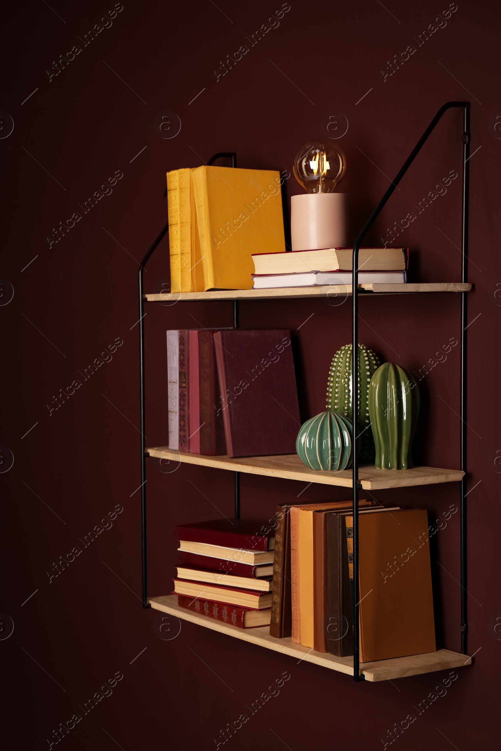 Photo of Shelves with different books, lamp and ceramic cacti on brown wall
