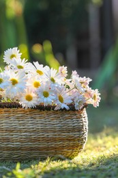 Photo of Beautiful wild flowers in wicker basket on green grass outdoors. Space for text