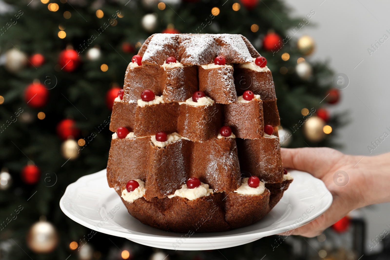 Photo of Woman holding delicious Pandoro Christmas tree cake decorated with powdered sugar and berries indoors, closeup