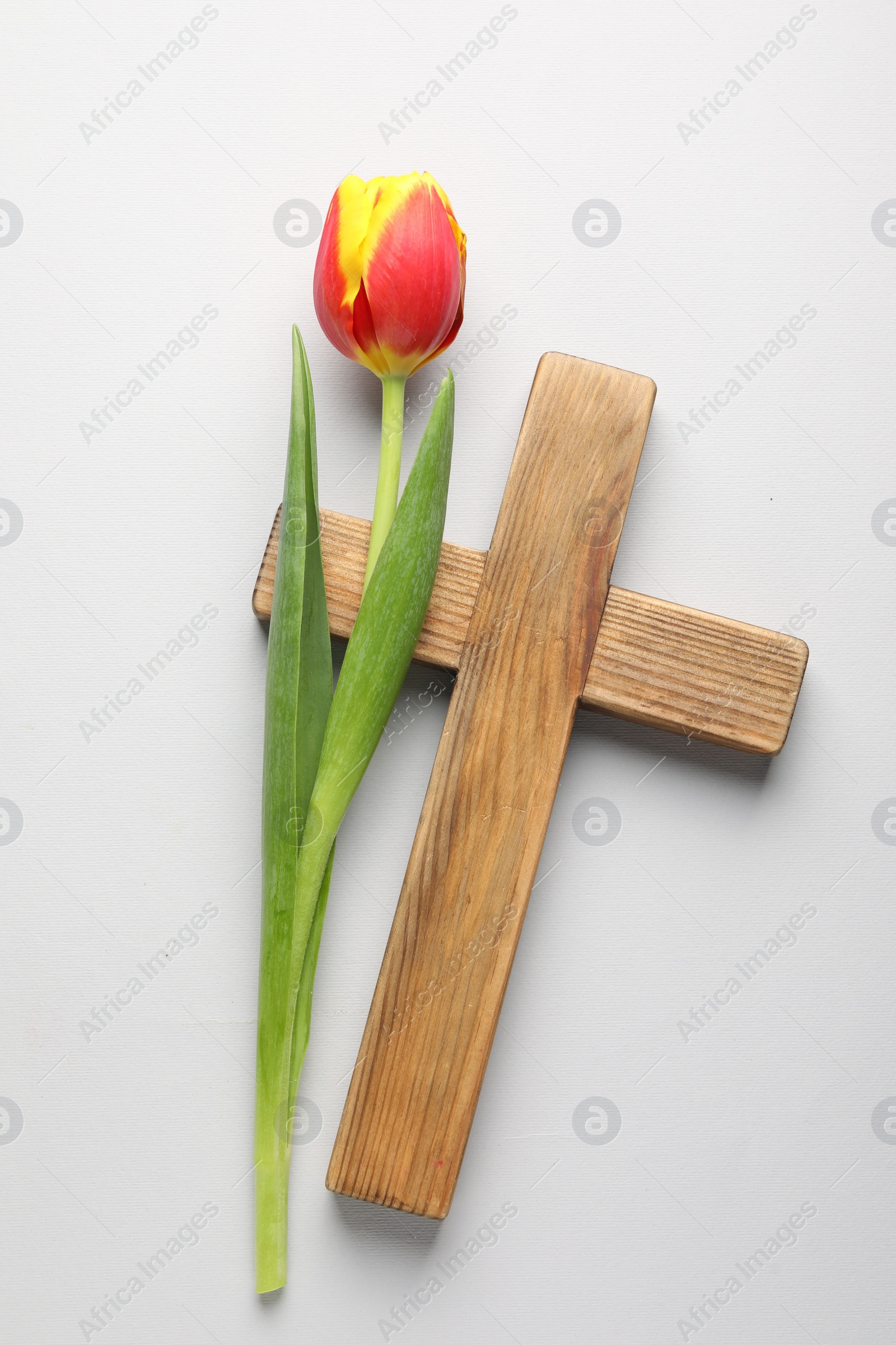 Photo of Easter - celebration of Jesus resurrection. Wooden cross and tulip on light background, top view