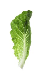 Photo of Fresh leaf of green romaine lettuce isolated on white