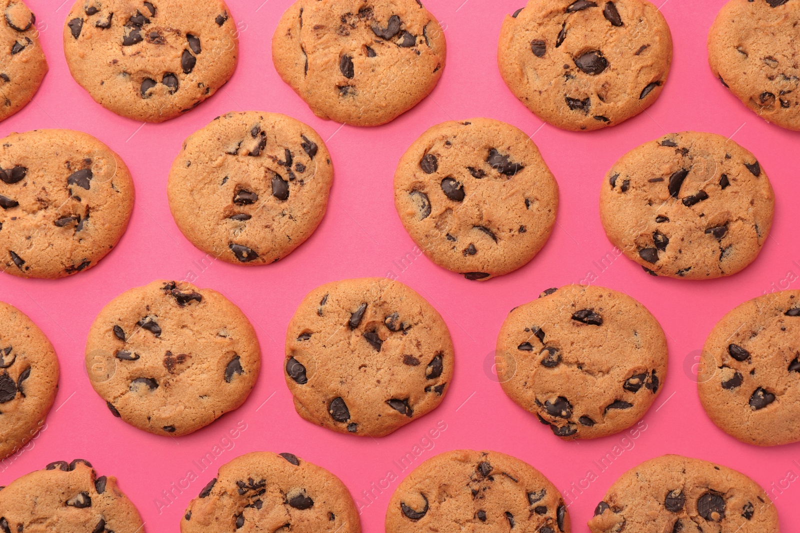 Photo of Many delicious chocolate chip cookies on pink background, flat lay