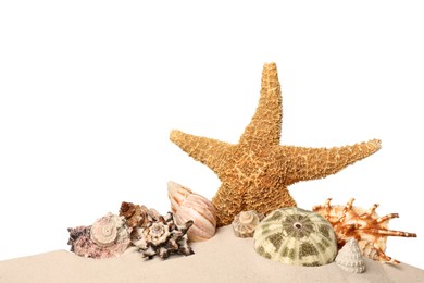 Photo of Beautiful starfish and sea shells in sand on white background