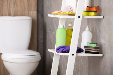 Photo of Different toilet cleaning supplies on shelving unit indoors