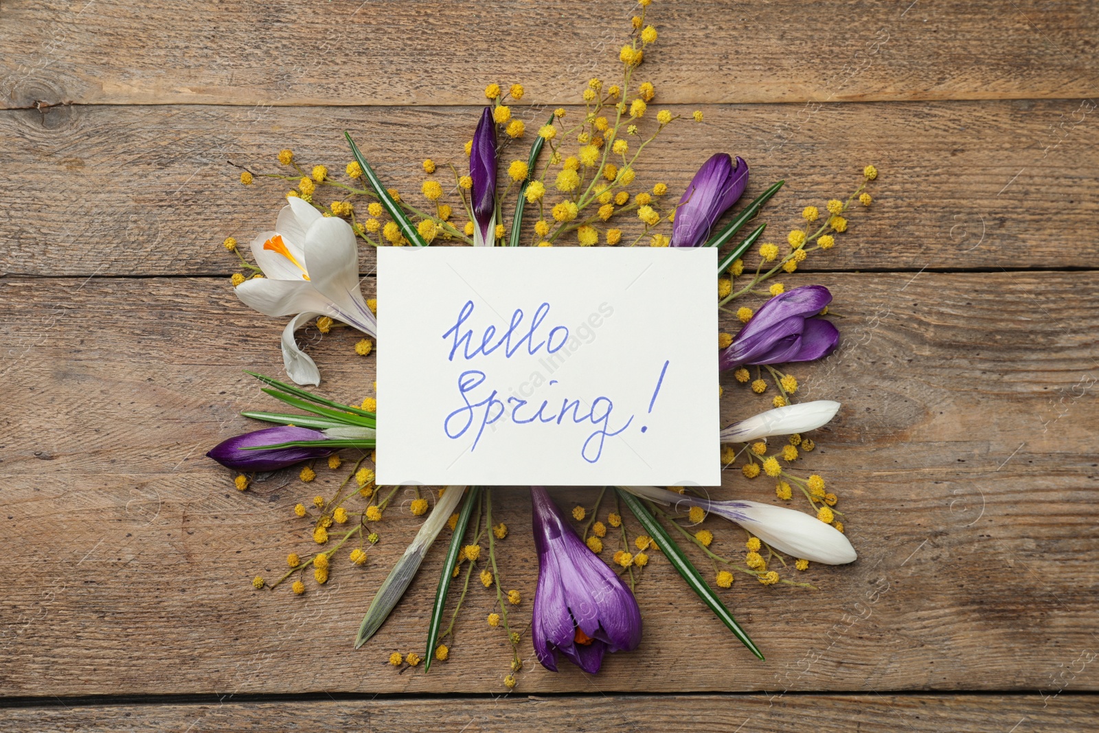 Photo of Card with words HELLO SPRING and fresh flowers on wooden table, flat lay