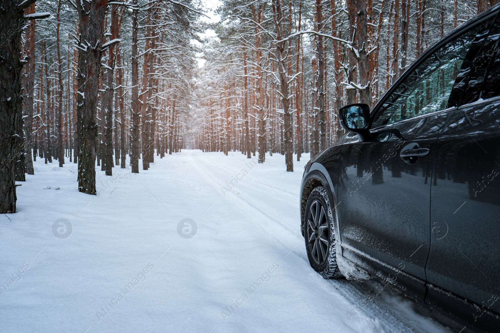 Photo of Snowy country road with car on winter day. Space for text