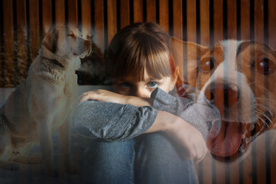 Image of Cynophobia concept. Double exposure of scared little girl and dogs
