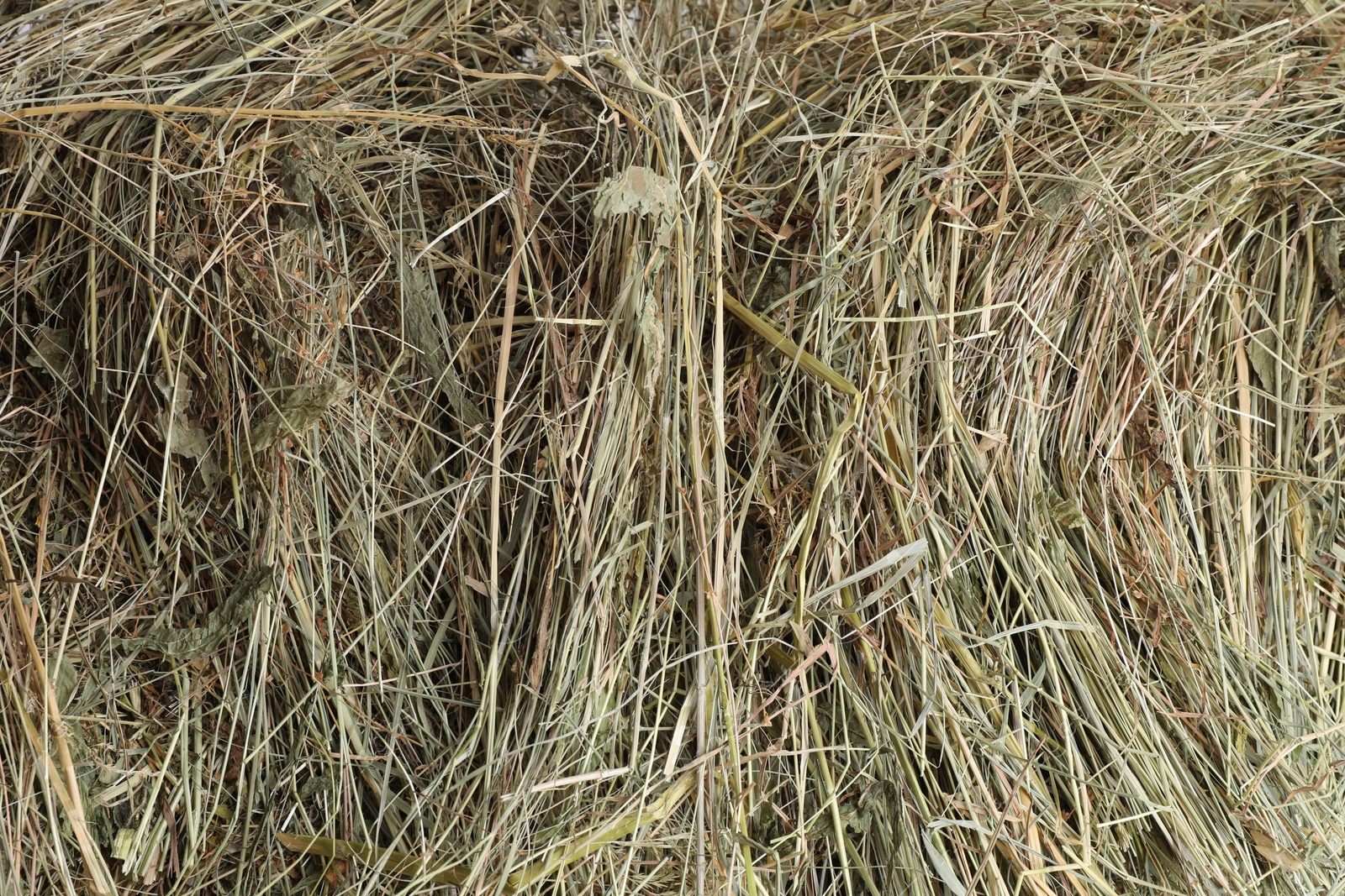 Photo of Pile of dried hay as background, top view