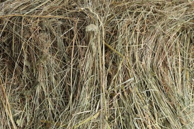 Photo of Pile of dried hay as background, top view