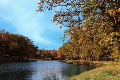 Picturesque view of park with beautiful trees and lake. Autumn season