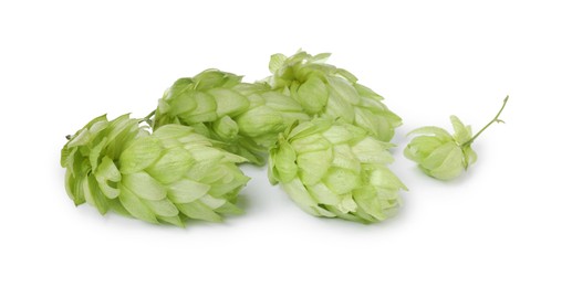 Fresh ripe green hops on white background