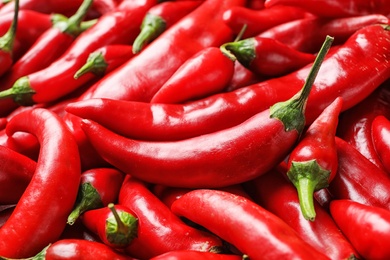 Photo of Many fresh red chili peppers as background