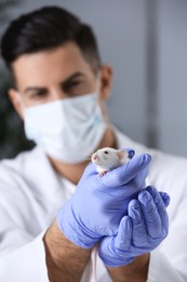 Photo of Scientist with rat in chemical laboratory, focus on rodent. Animal testing