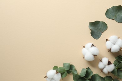 Photo of Cotton flowers and eucalyptus leaves on beige background, flat lay. Space for text