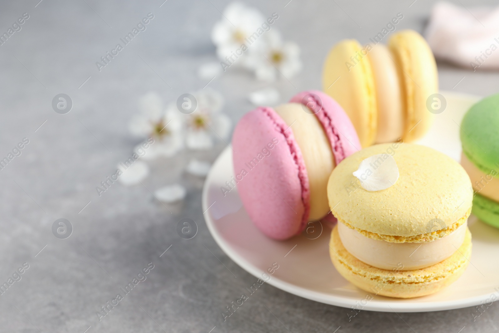 Photo of Delicious colorful macarons on grey table, closeup. Space for text